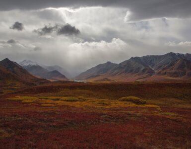 Autumn tundra stretching toward mountains in Alaska