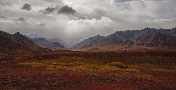 Autumn tundra stretching toward mountains in Alaska