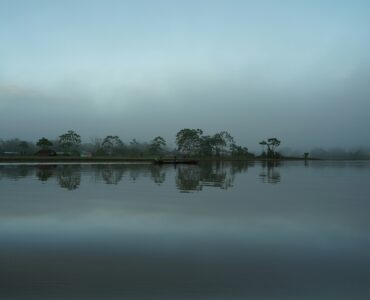 Amazon River bordered by dense rainforest