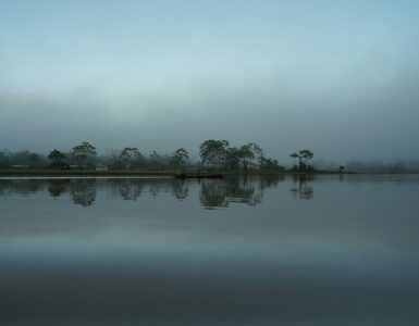 Amazon River bordered by dense rainforest