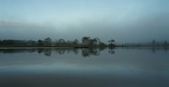 Amazon River bordered by dense rainforest