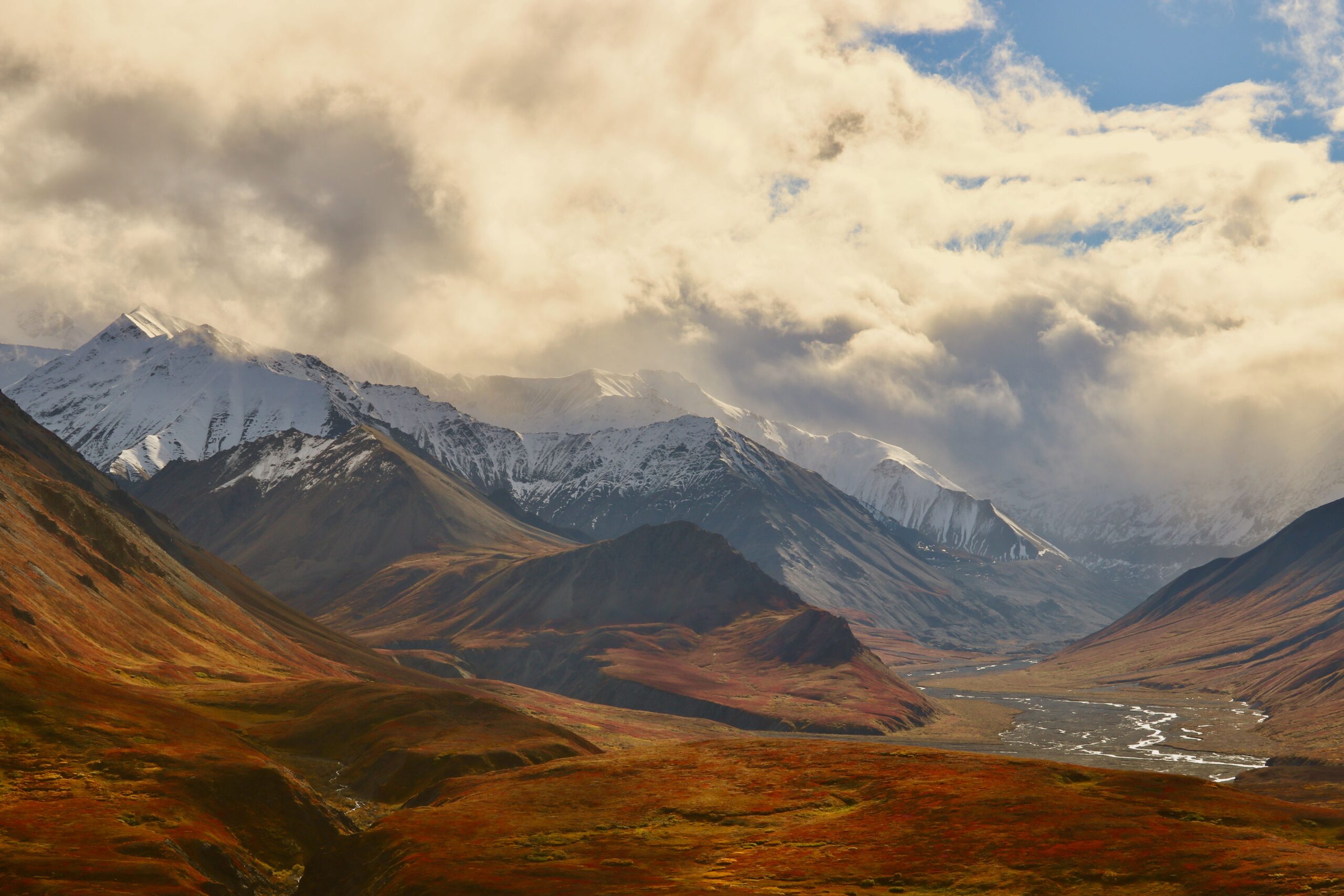 A winding river crossing open tundra below mountains in Denali National Park