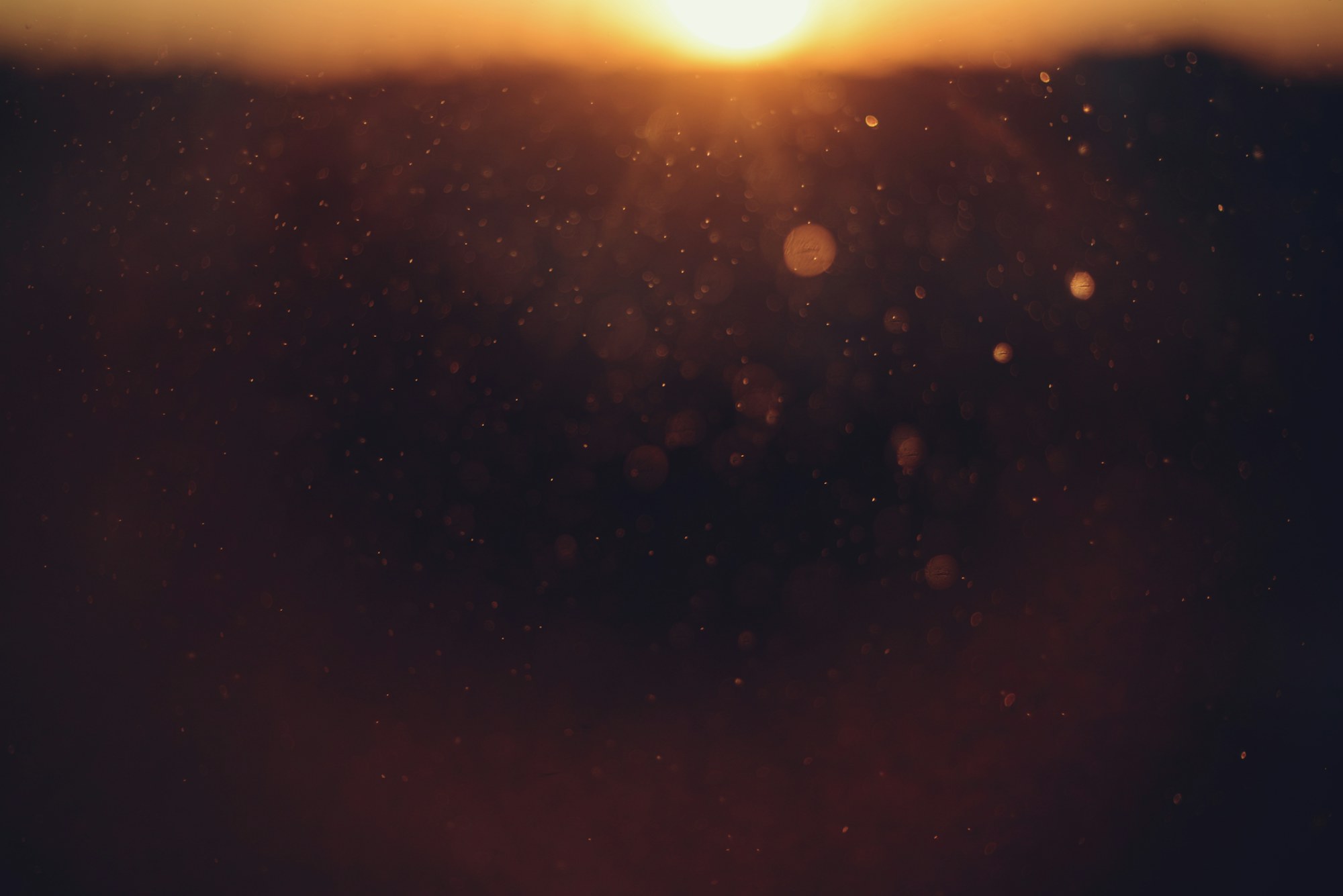 Fine dust particles visible in a beam of warm sunlight