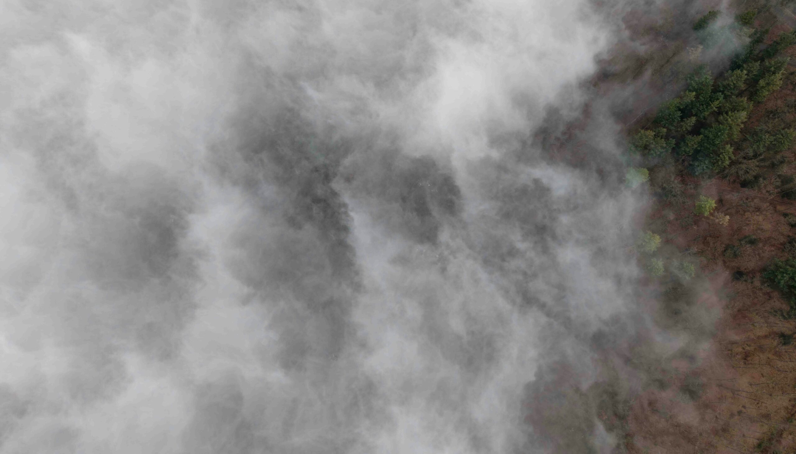 Aerial view of smoke rising above a forest
