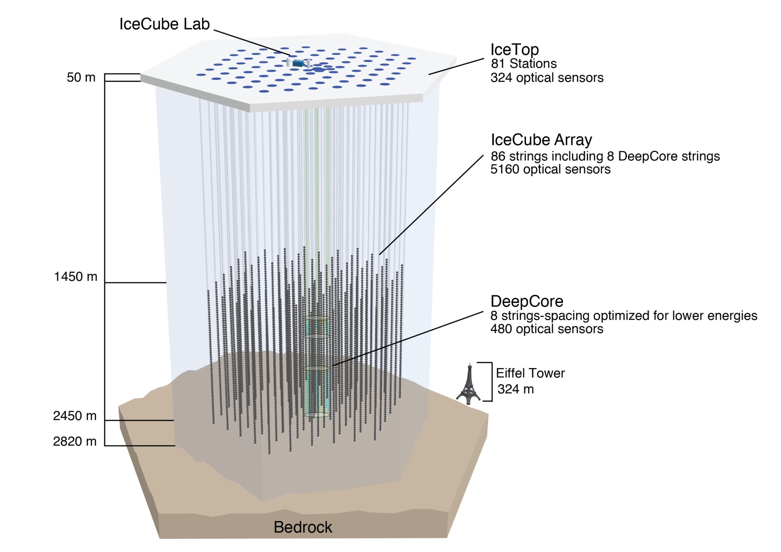 Diagram showing strings of light sensors embedded in a cubic kilometre of Antarctic ice beneath the IceCube Laboratory.