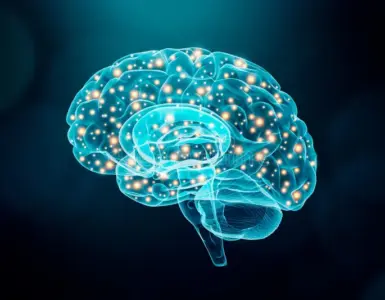 Concept image of glowing neural pathways in a human brain, representing brain circuits studied with optogenetics.