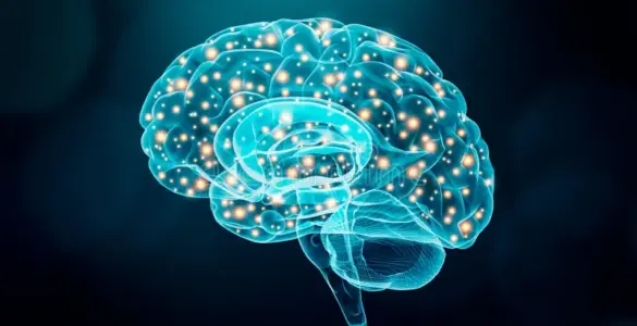 Concept image of glowing neural pathways in a human brain, representing brain circuits studied with optogenetics.