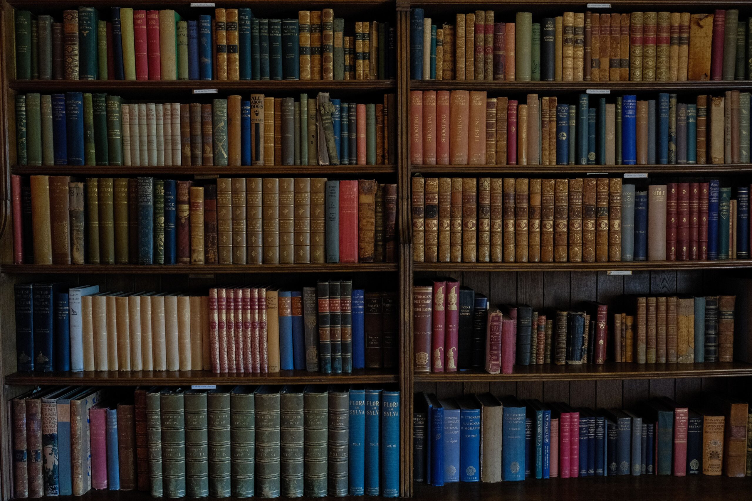 Shelves filled with old books in a library archive