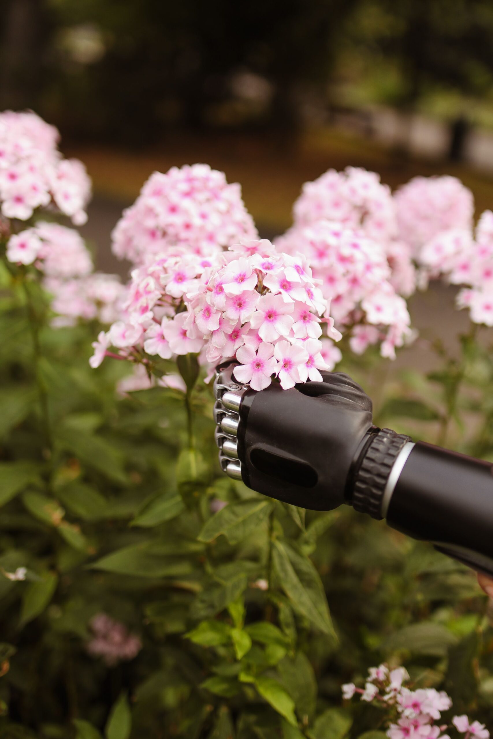 A prosthetic hand gently holding pink flowers