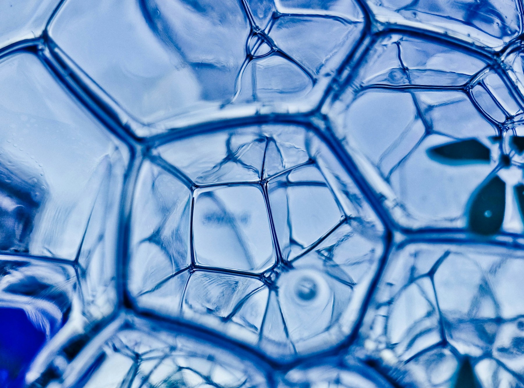 Close-up pattern of soap bubbles illustrating how surfactant molecules form tiny structures in water