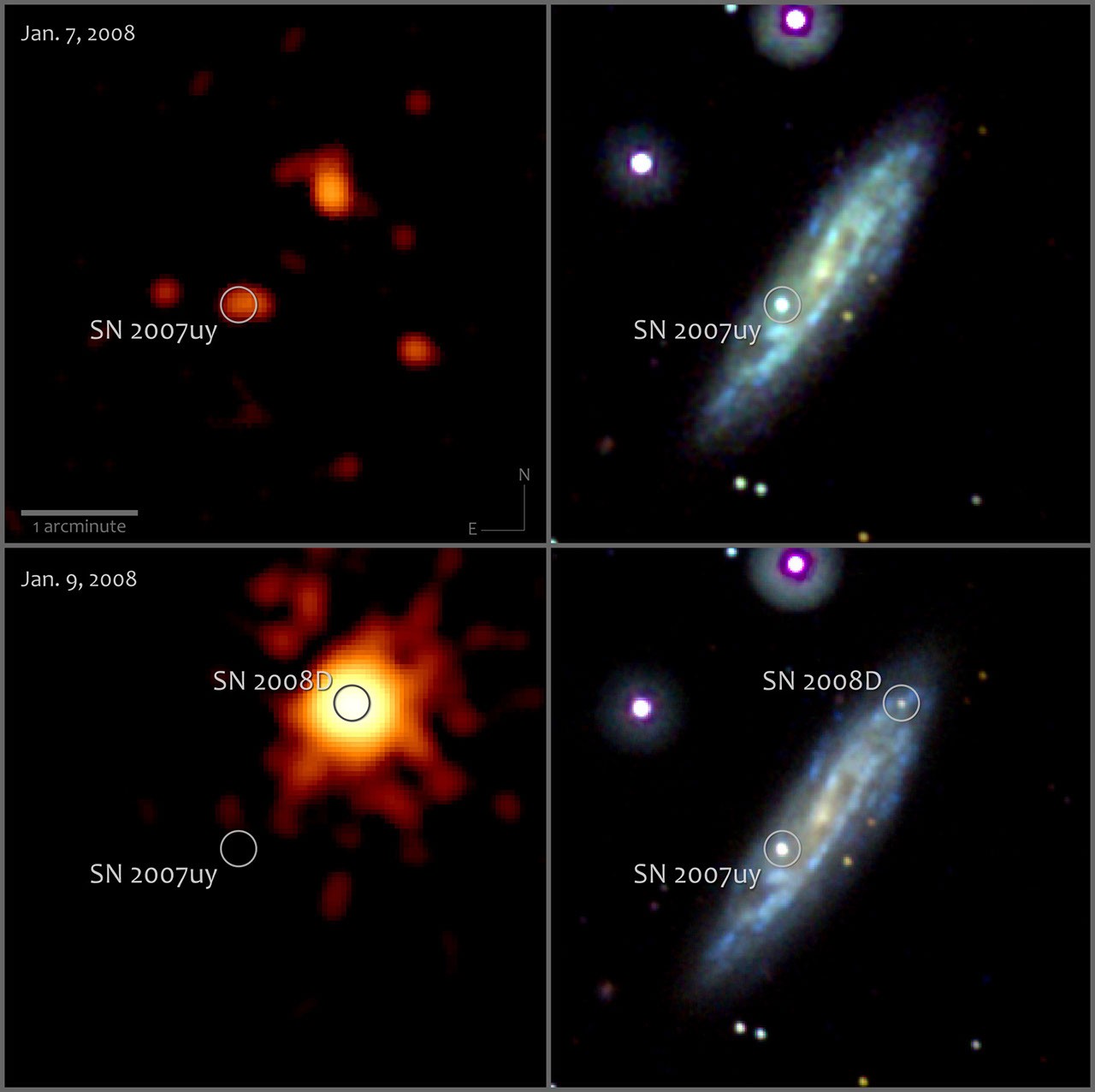 Four-panel Swift comparison showing X-ray and ultraviolet views before and during supernova SN 2008D