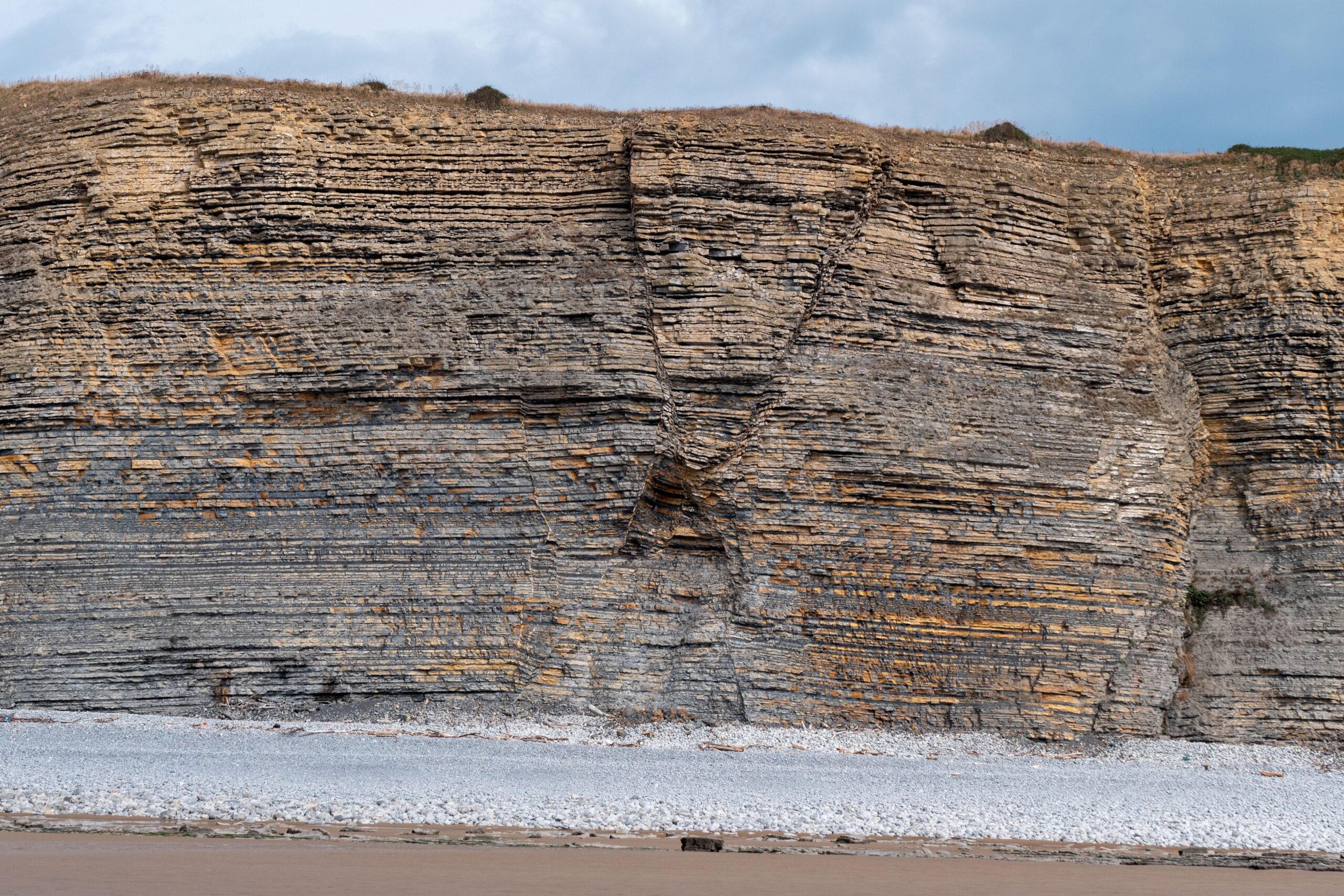 Tilted sedimentary rock layers exposed along a coastal cliff