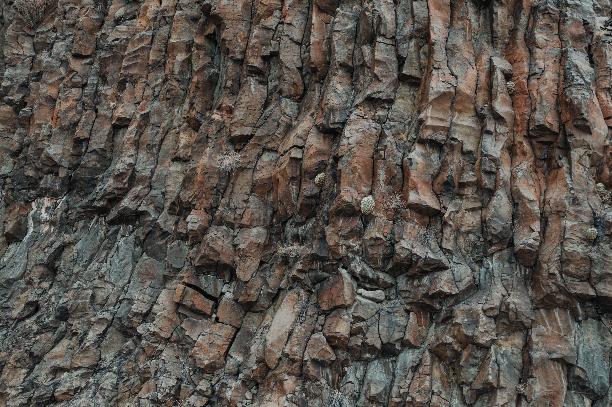 Nearly vertical bands of layered rock exposed in a rugged cliff