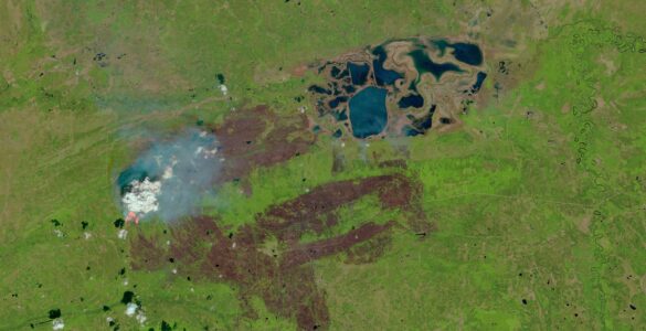 Satellite view of wildfire smoke spreading over a green landscape in western Canada