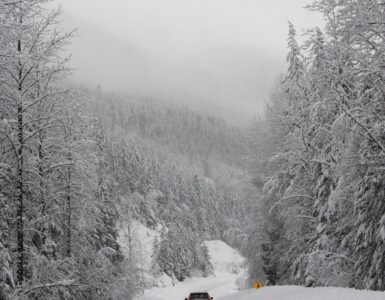 A car traveling along a snow-covered road through a winter forest